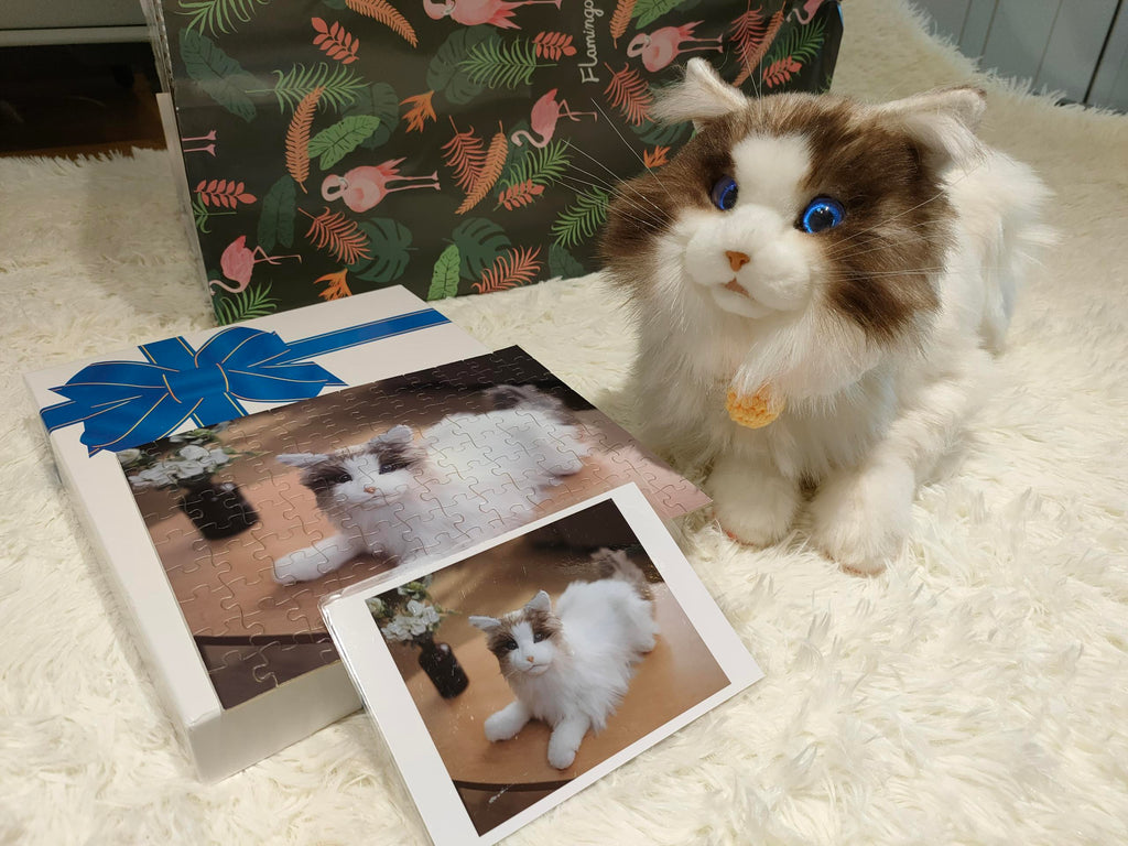 A Companion Robot Pet Can Brighten Up Our Lifes