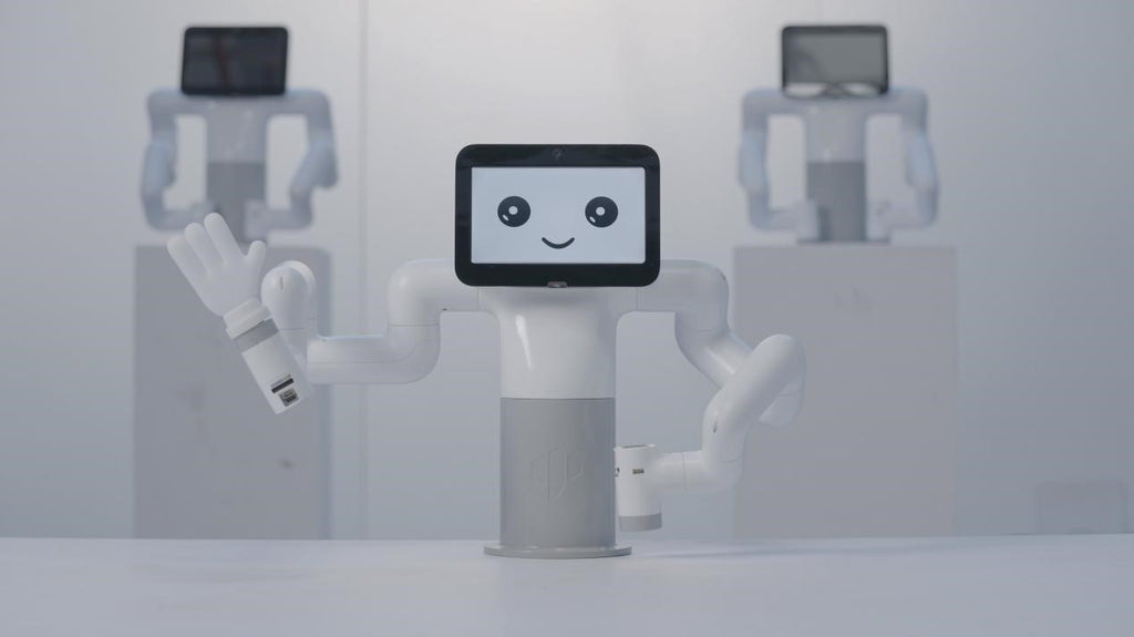The Most Cost-Effective Dual-Arm Robot In The World