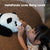 Elephant Robotics metaPanda: Gift The Touch-Responsive Stretching Robotic Pet Companion