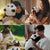 Elephant Robotics metaPanda: Gift The Touch-Responsive Stretching Robotic Pet Companion