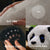 Elephant Robotics metaPanda: Gift The Touch-Responsive Stretching Robotic Pet Companion