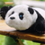 Elephant Robotics metaPanda: Gift The Touch-Responsive Stretching Robotic Pet Companion