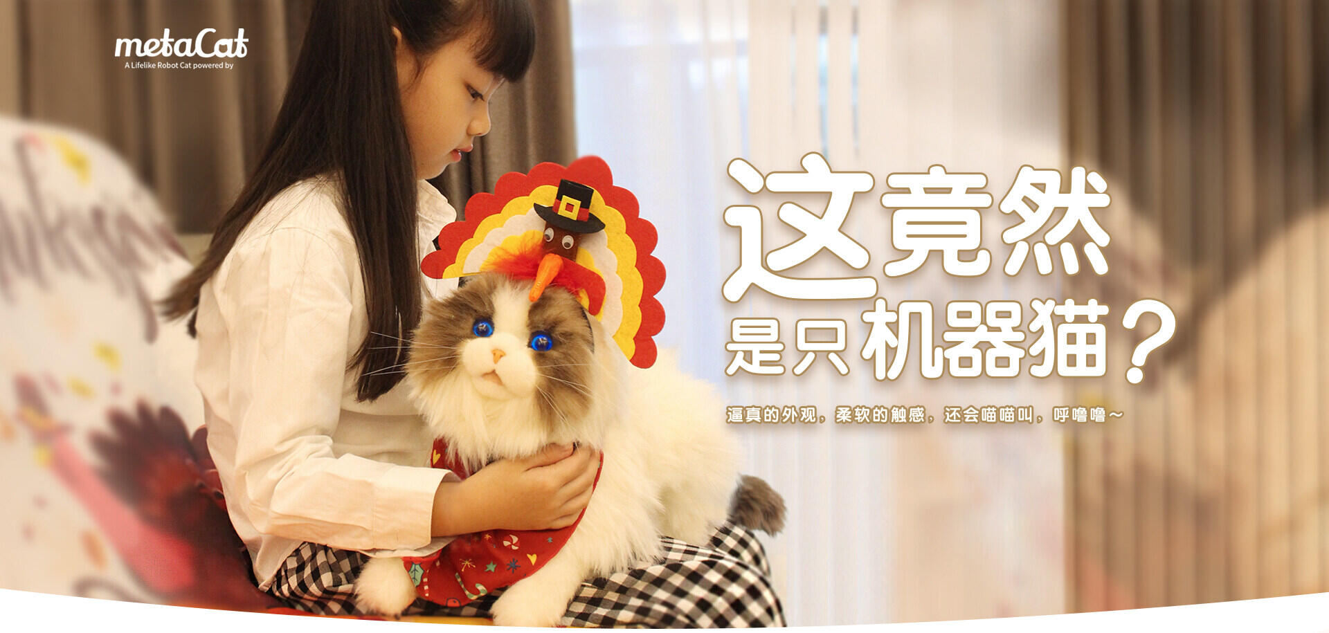 metaCat 11 02 3
