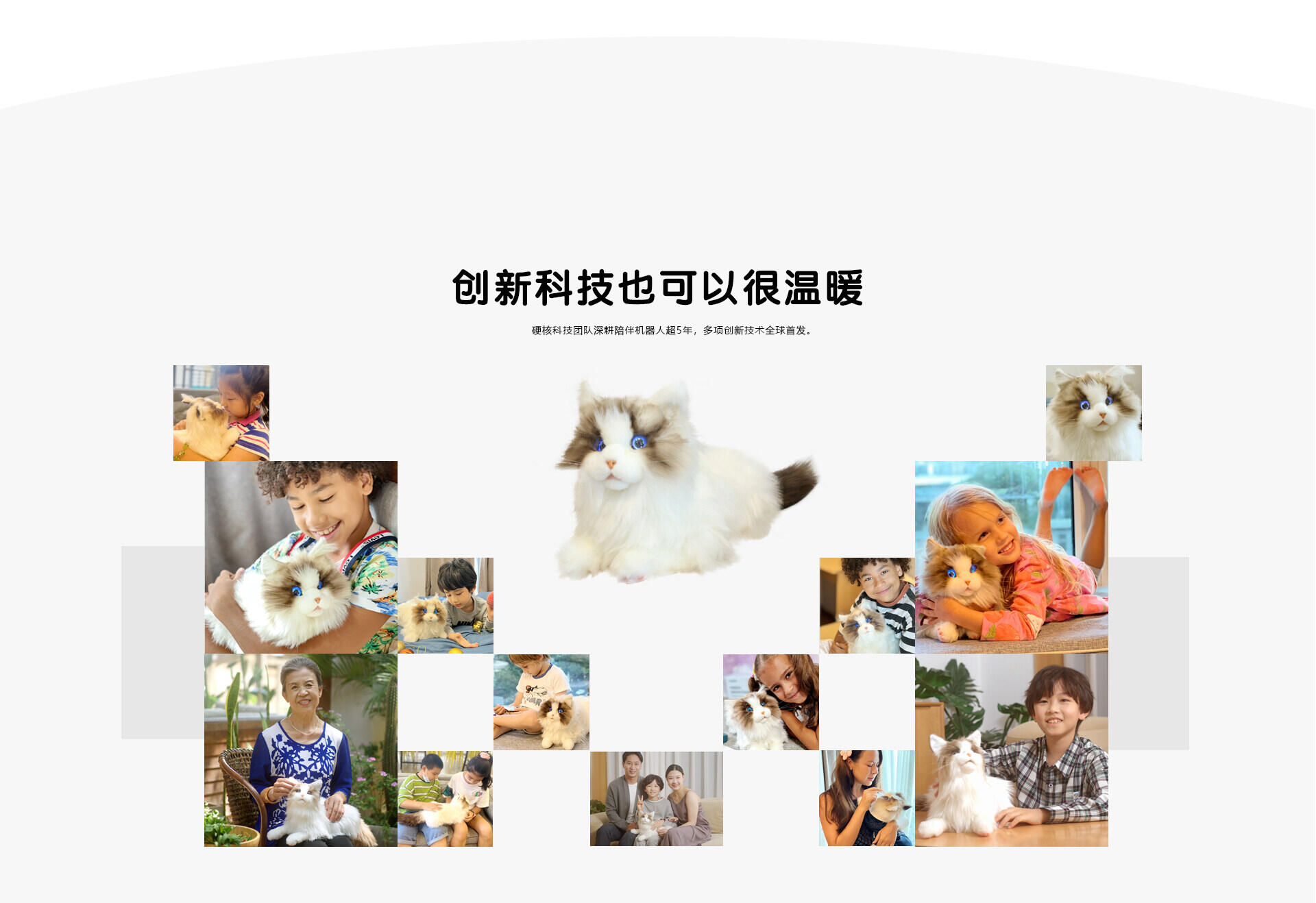 metaCat 11 08
