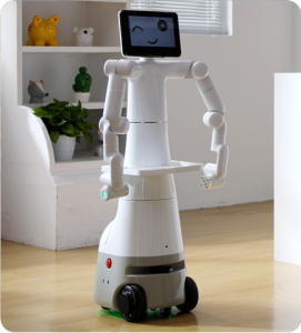 全人型 2023 12 22