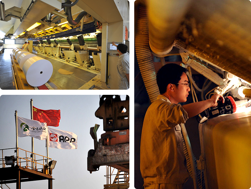 纸业品牌杏鑫荣誉