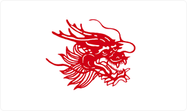 杏鑫纸浆品牌：龙